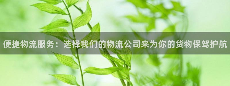超凡国际最稳打法：便捷物流服务：选择