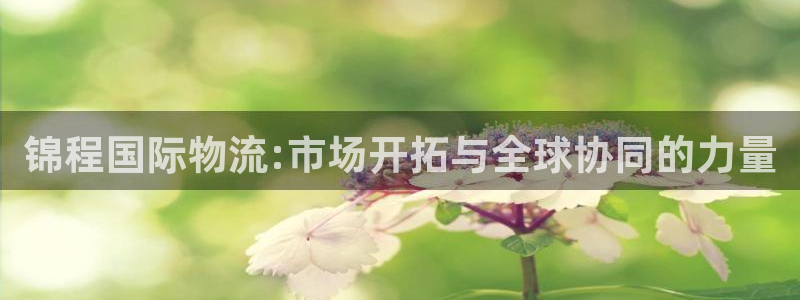 超凡国际自行车图片大全：锦程国际物流