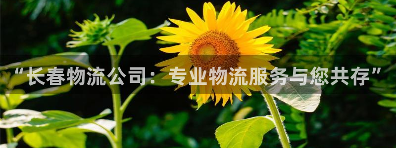 超凡国际链接：“长春物流公司：专业物