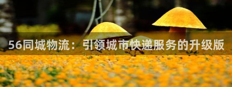 超凡国际官方版网站：56同城物流：引