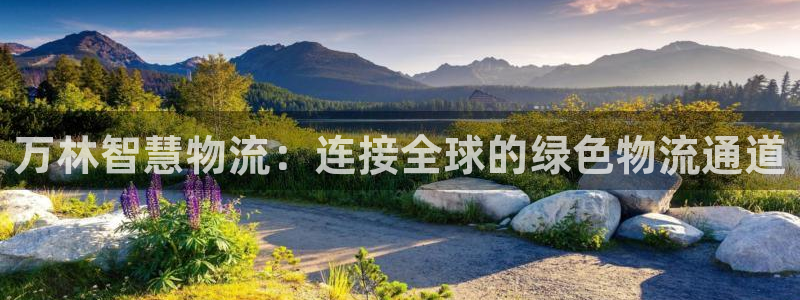 超凡国际下载不了：万林智慧物流：连接