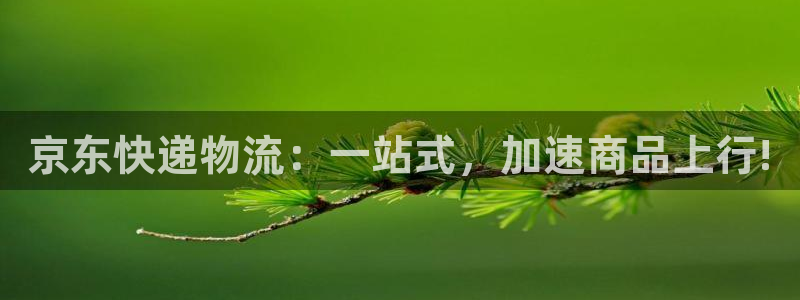 超凡国际能赢钱吗:京东快递物流:一站