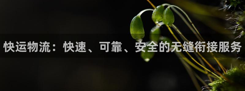 超凡国际登录用户名登录不上：快运物流