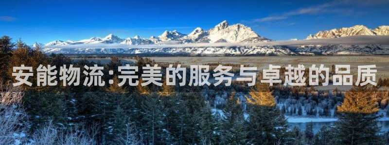 超凡国际登录：安能物流:完美的服务与