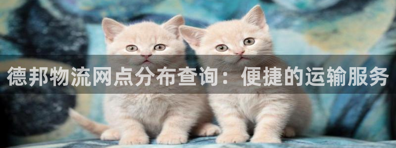 超凡国际软件总是闪退怎么回事