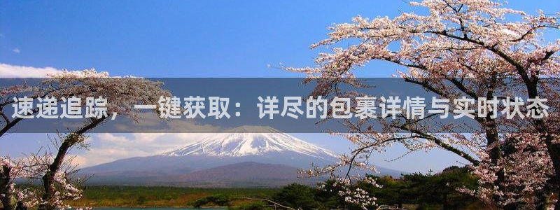 超凡国际赌博软件正规吗:速递追踪,一