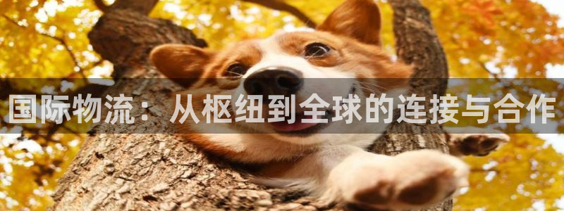 超凡国际官网入口pc28：国际物流：