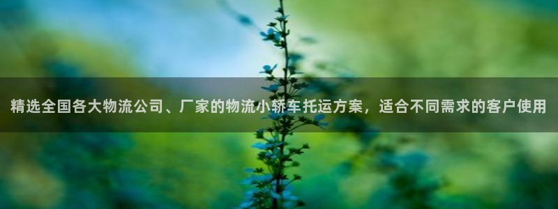 超凡国际如何看012路计划