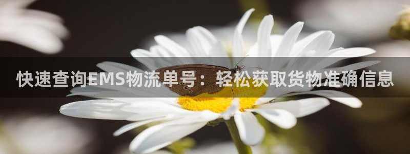 超凡国际模拟器在线玩：快速查询EMS