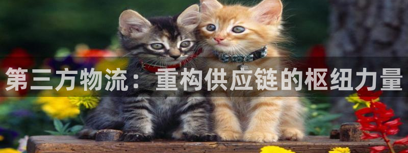 超凡国际初始密码在哪里修改的：第三方