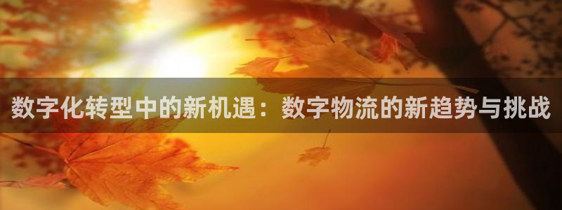 超凡国际体育下载：数字化转型中的新机