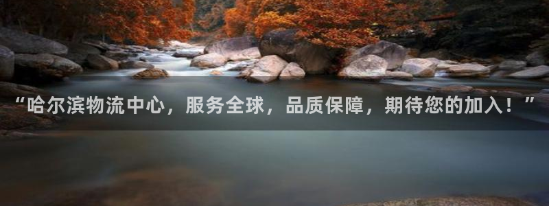超凡国际是干嘛的:“哈尔滨物流中心,