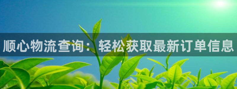 超凡国际怎么下载:顺心物流查询:轻松