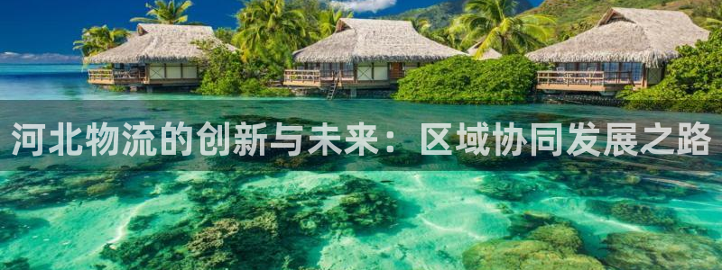 超凡国际是南宫旗下的吗：河北物流的创