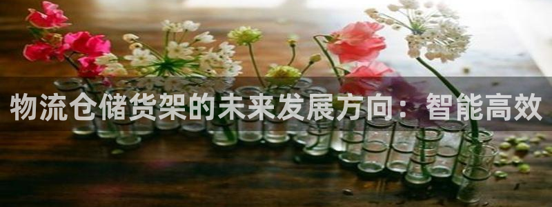 超凡国际注册条件：物流仓储货架的未来