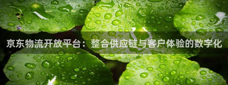 超凡国际龙虎