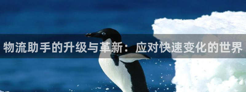 超凡国际p扣除