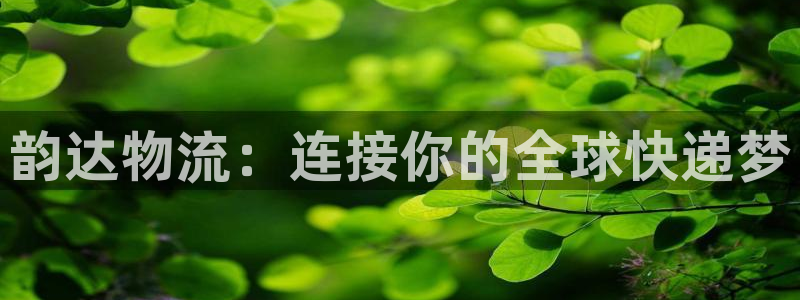 超凡国际充值金额随便：韵达物流：连接你的全球快递梦