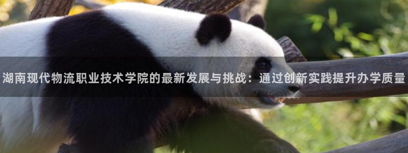 超凡国际软件有什么用：湖南现代物流职