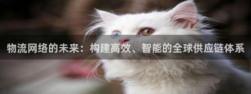 超凡国际官网入口南宫：物流网络的未来