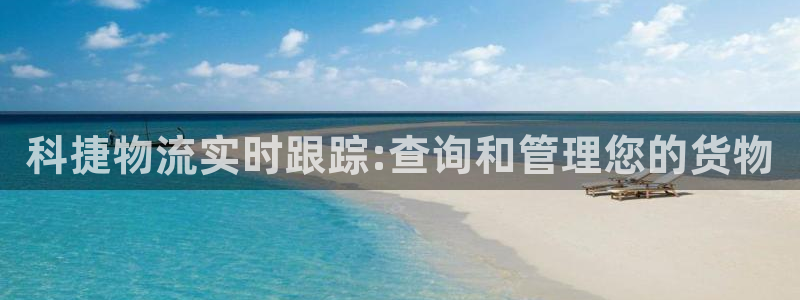 超凡国际技巧：科捷物流实时跟踪:查询