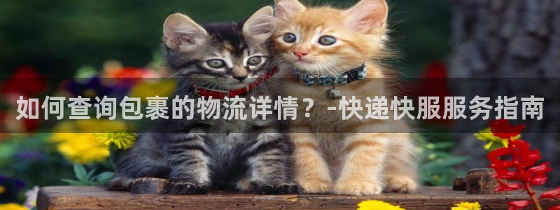 超凡国际客服一直不回消息怎么办：如何