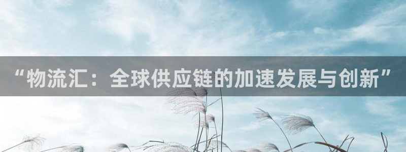 超凡国际官网入口o：“物流汇：全球供
