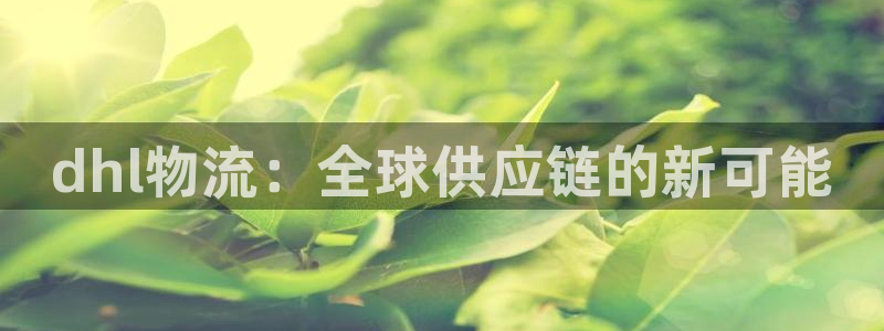 超凡国际登录用户名登录不上：dhl物