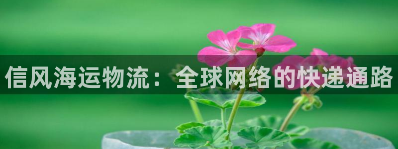 超凡国际加拿大下载：信风海运物流：全